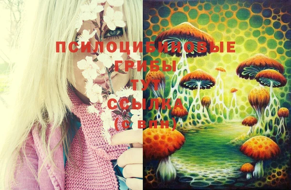 экстази Арсеньев
